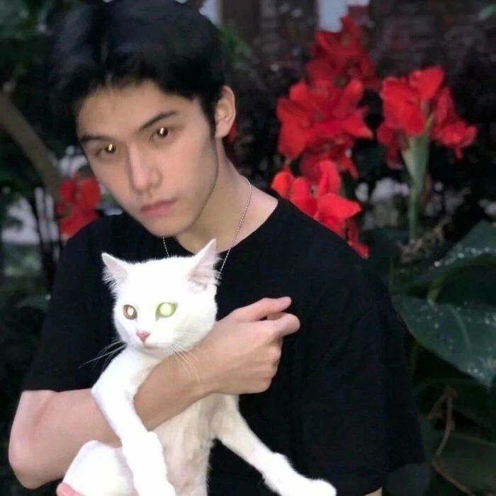 爷的魅力你不懂的第一张照片--泉州征婚网